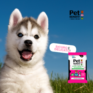 Foto quadrata per Google Display (17)