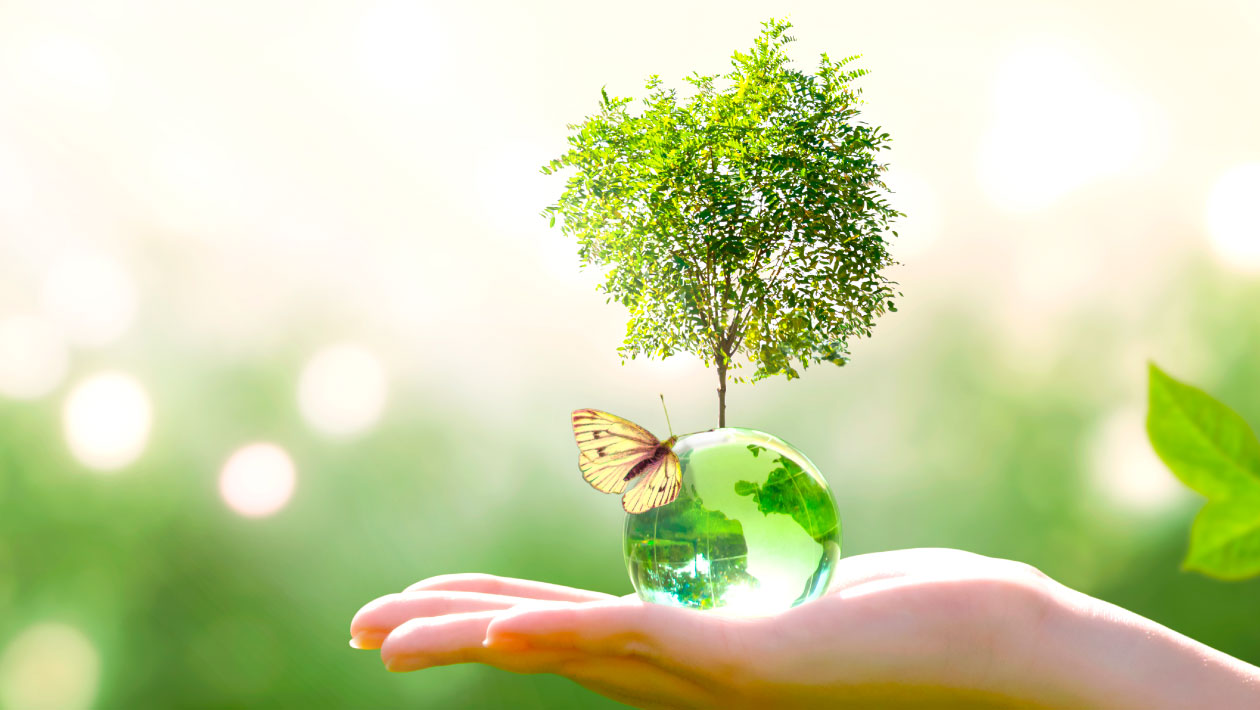 La qualità dei prodotti, la qualità della vita.