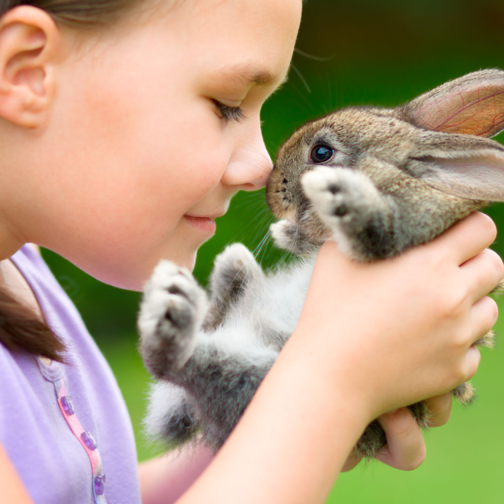 Le innovative formule rendono la pulizia e l’igiene degli animali facile e veloce