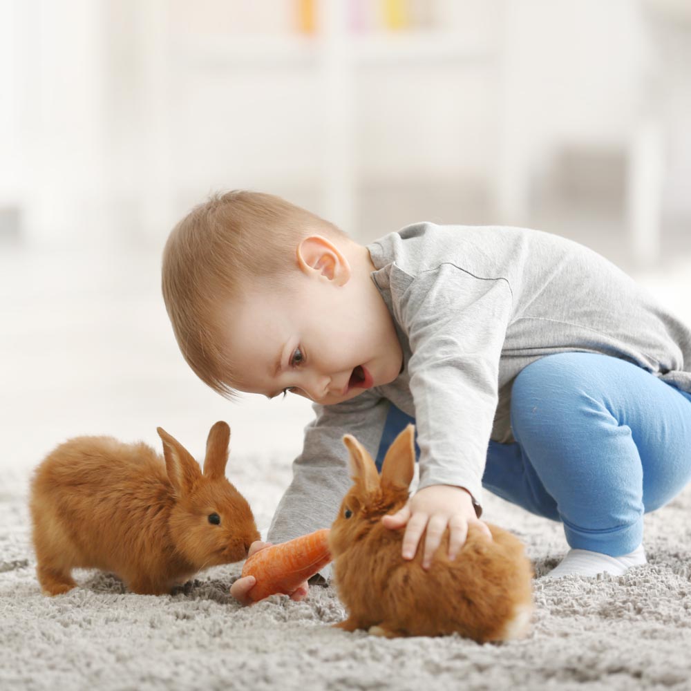 La qualità dei prodotti, la qualità della vita.